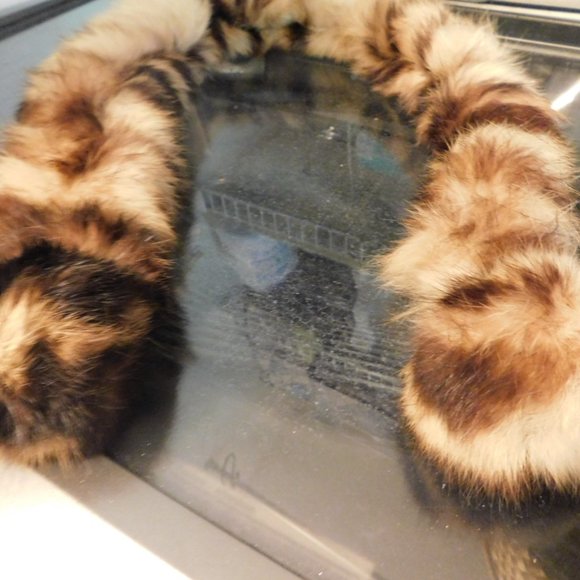 Multi- Color Rabbit Fur Stole - Picture 2 of 4